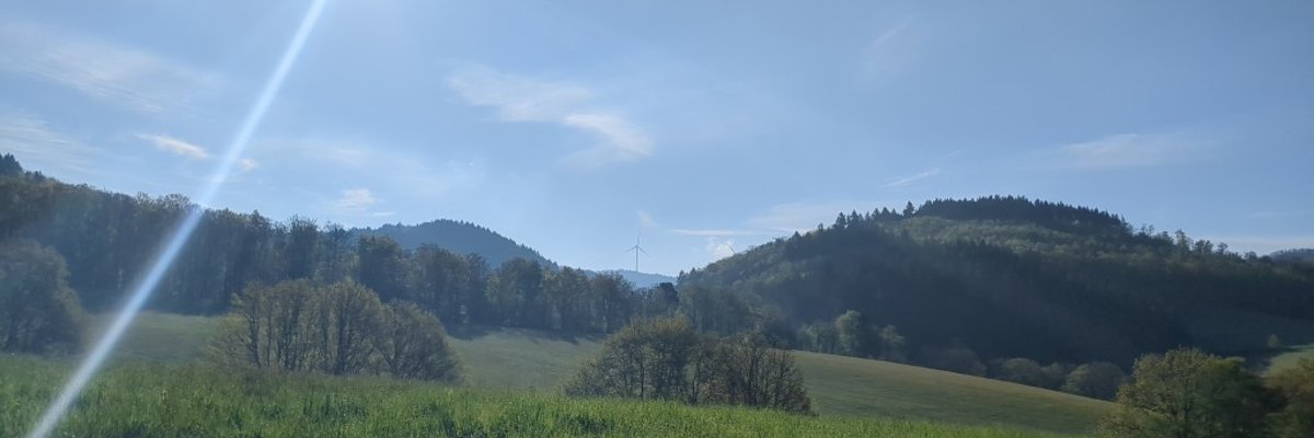 Wald und Wiesen