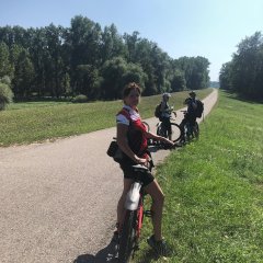 Entlang des Rheinhauptdeiches zwischen Germersheim und Wörth