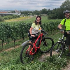 Kurz vor Obernai war Schluss mit Lustig: Die Weinberge kamen. 

