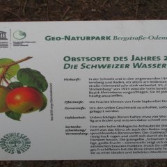 01-2022 Obstbaumpflanzung an der Steinbacher Straße 