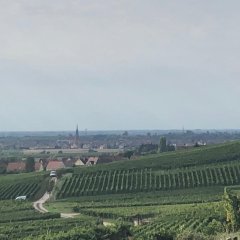 Und dann: "Man sieht, nix mehr flach. Wir sind am und im Berg", berichtet Bürgermeister Volker Oehlenschläger.
 