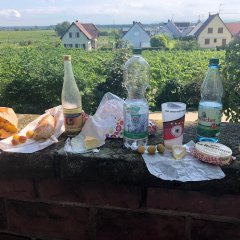 Mittagstisch auf der Kirchenmauer in Bennwihr. Sou gut!
Toller Käse, frische Mirabellen und Baguette. "Es könnte einem schlechter gehen."

