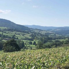 Ausblick! Ein Traum!