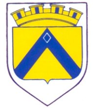 Wappen Thizy.jpg