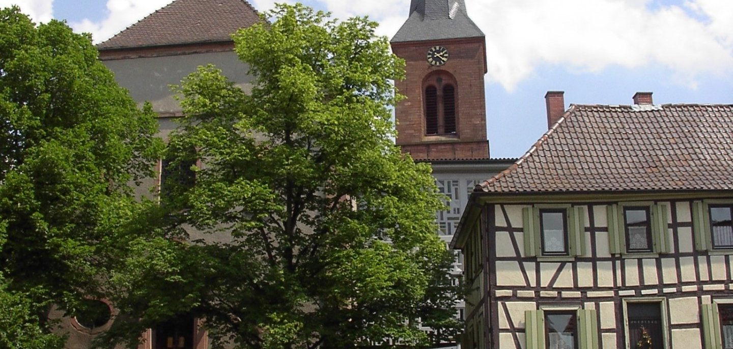Bäume Katholische Kirche Fürth
