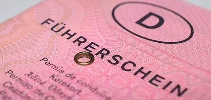 Rosa Führerschein
