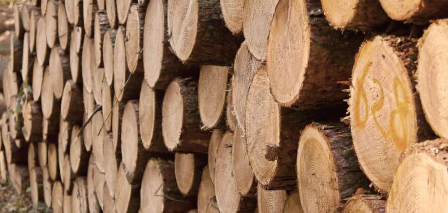Holzstämme