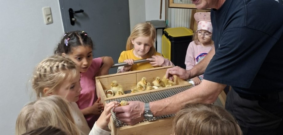 Regenbogen-Kindertagesstätte im Brutraum