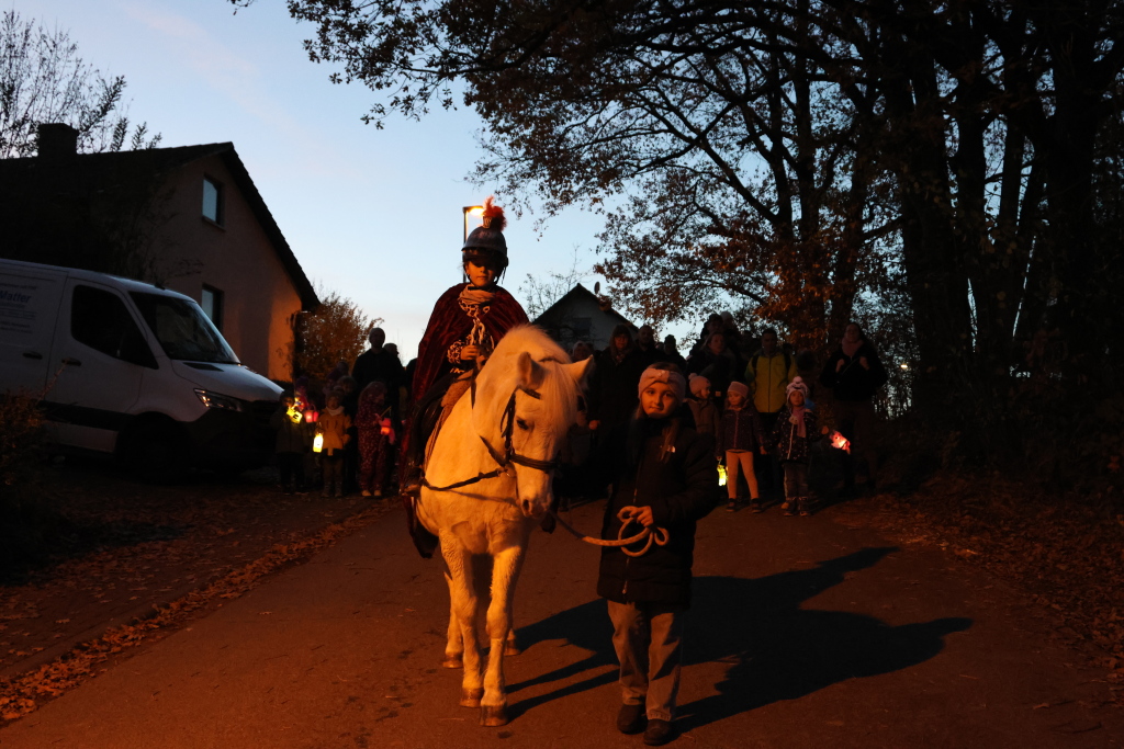 Sankt Martin 2025 in Fürth