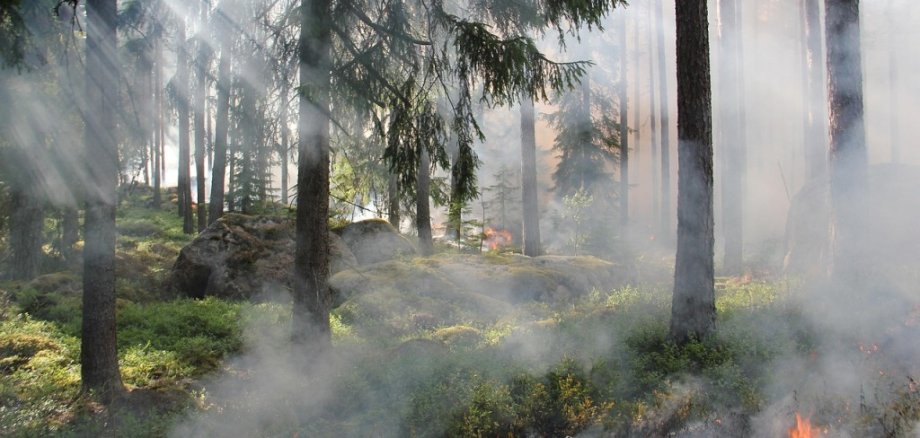 Waldbrandgefahr