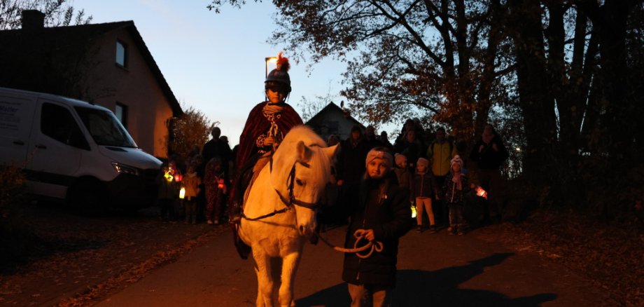 Sankt Martin 2025 in Fürth