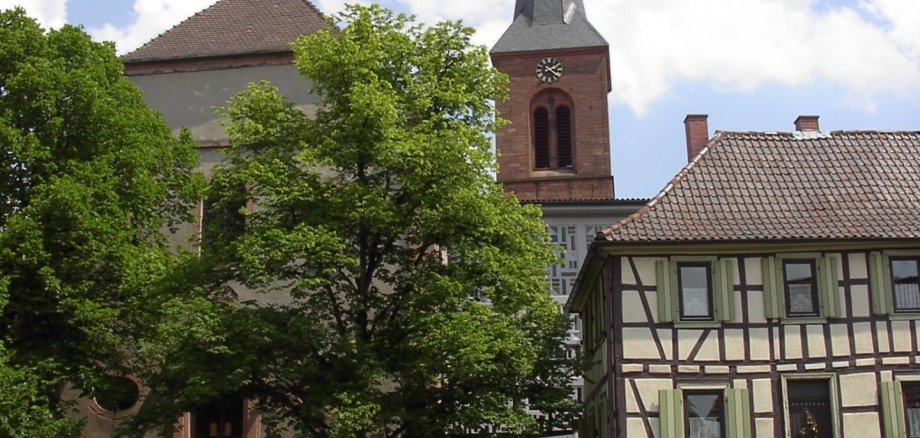 Bäume Katholische Kirche Fürth