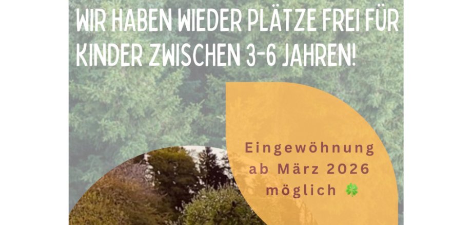 Flyer freie Kita-Plätze Waldkindergarten Wilde Möhre ab März 2026