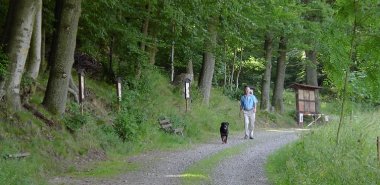 Bienenlehrpfad Bienenlehrpfad.jpg