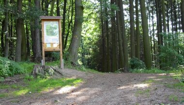 Waldlehrpfad Waldlehrpfad Fürth