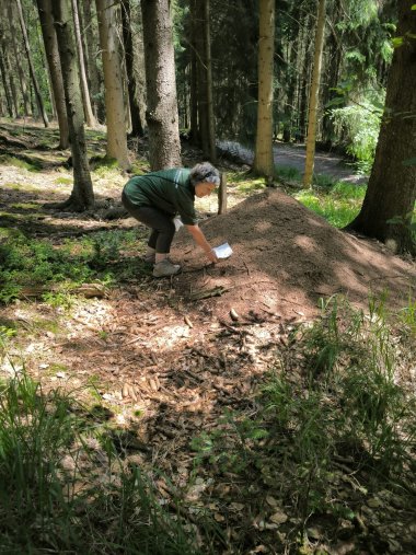 Geopark-vor-Ort-Team-Mitglied Geopark-vor-Ort-Team-Mitglied