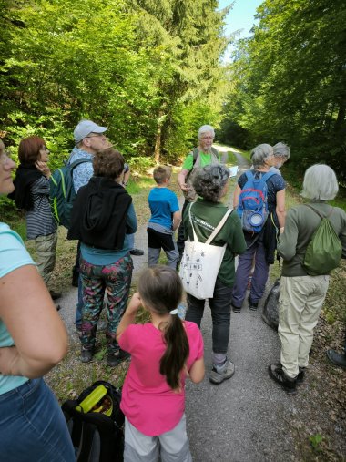 Förster Eder und Gruppe  Förster Eder und Gruppe