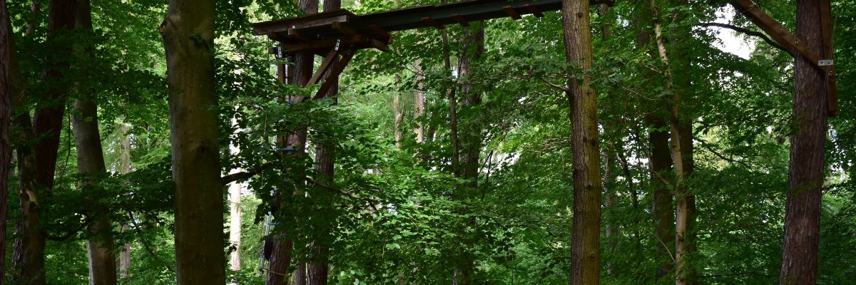 Collage Gesundheit Soziales.jpg